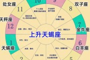 太阳双子月亮射手上升天蝎，太阳双子月亮射手上升双鱼