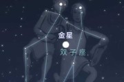 金星双子座什么意思，金星双子座是什么意思