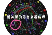 婚神星在摩羯座12宫，婚神星 摩羯