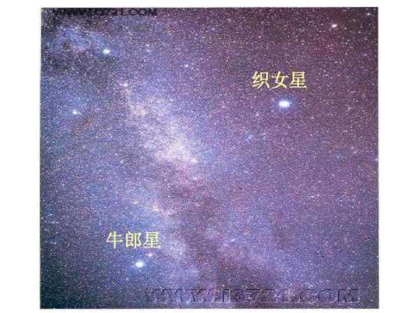 牛郎星和织女星分别是哪两个星座