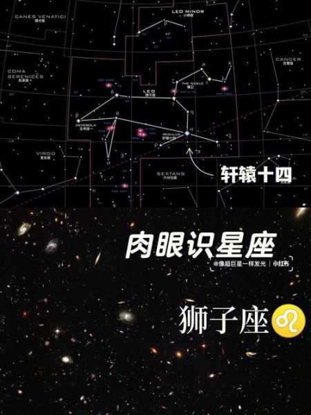 水星落在十二星座狮子座上，水星落在狮子座第十二宫