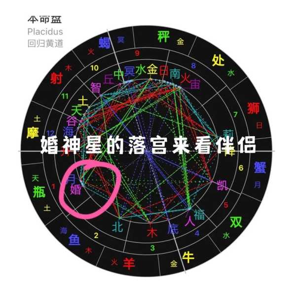 婚神星在摩羯座12宫，婚神星 摩羯